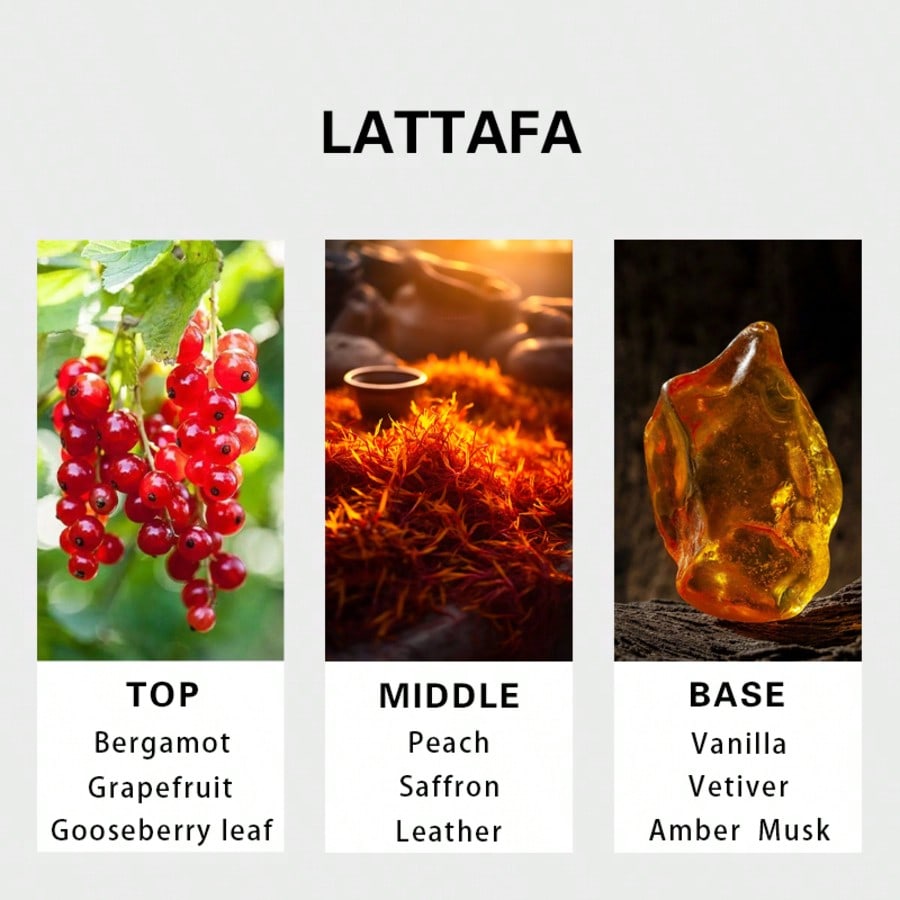 Hayaati Gold Elixir para hombr - Fragrance And Perfume reseña y precio