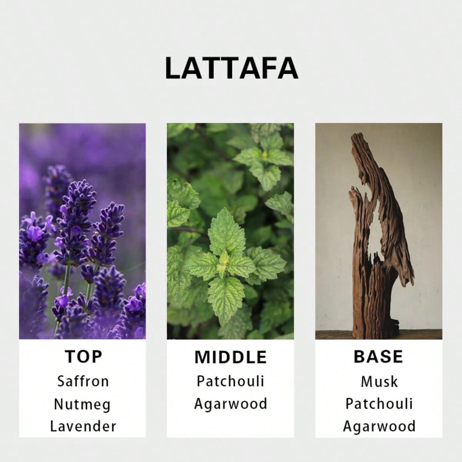 Lattafa Badee Al Oud For Glory - Fragrance And Perfume reseña y precio