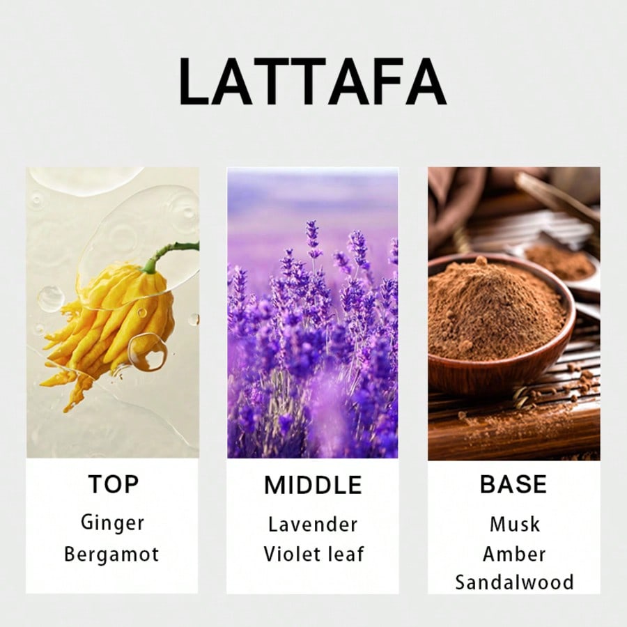Lattafa Suqraat para hombre, E - Fragrance And Perfume reseña y precio